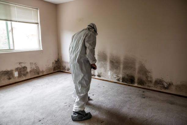 Best Industrial Mold Remediation  in Prairie Du Sac, WI